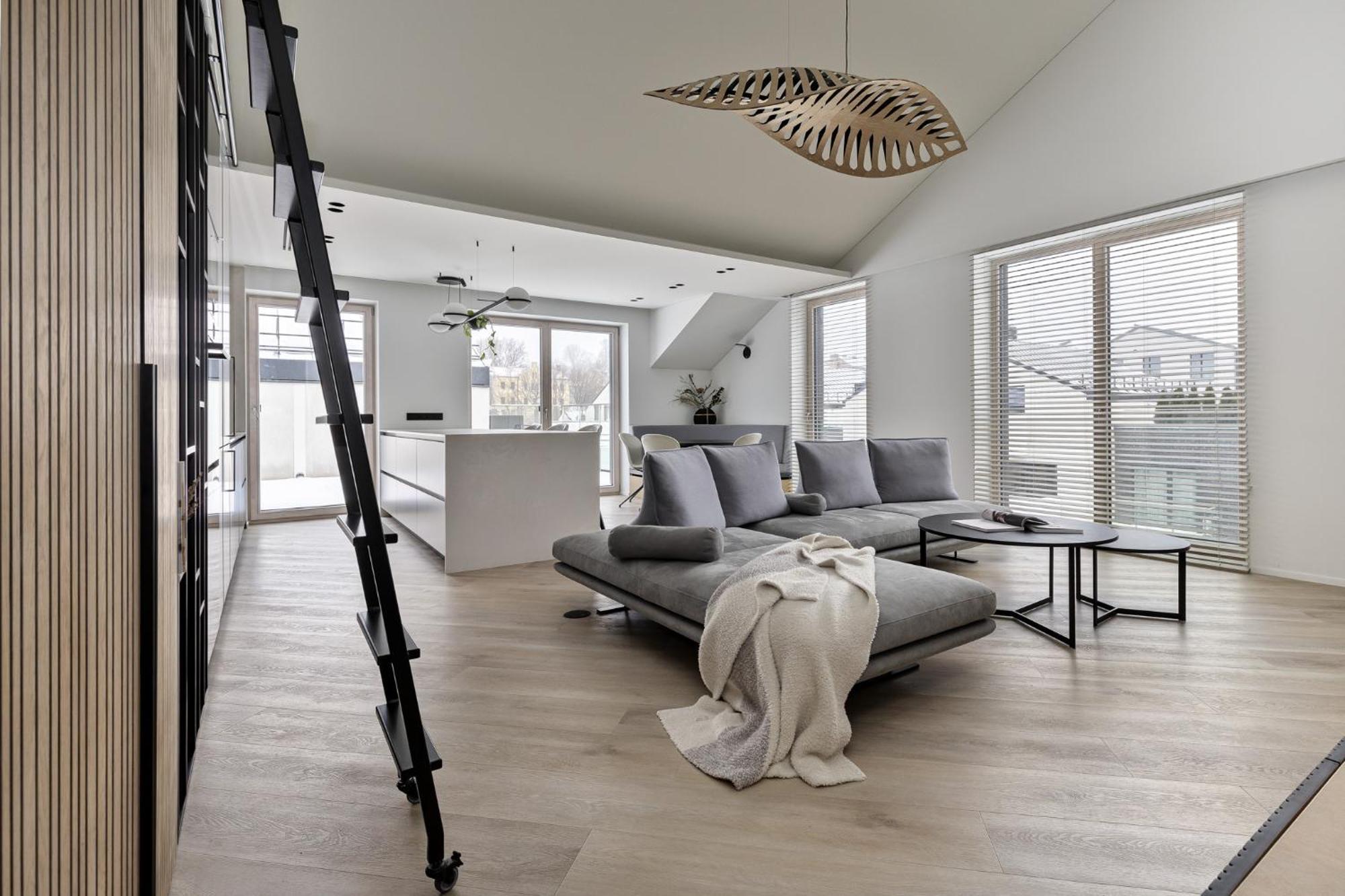 Penthouse In Old Vilnius